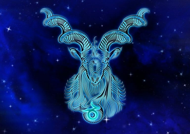Zodia capricorn horoscop anual